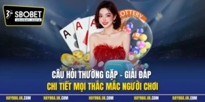 Câu hỏi thường gặp